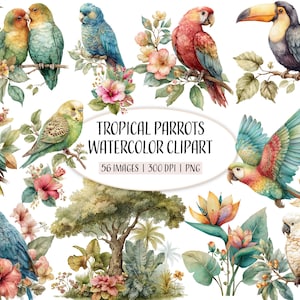 Clipart aquarelle de perroquets, oiseaux tropicaux, clipart PNG, fleurs et feuilles tropicales, Illustrations imprimables, Scrapbooking, usage Commercial