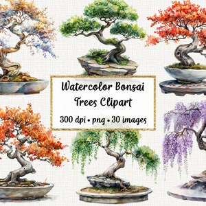 May include: A set of 30 watercolor bonsai tree clipart images. The images feature various styles of bonsai trees, including weeping willow, maple, and wisteria. The trees are painted in a realistic style with vibrant colors.