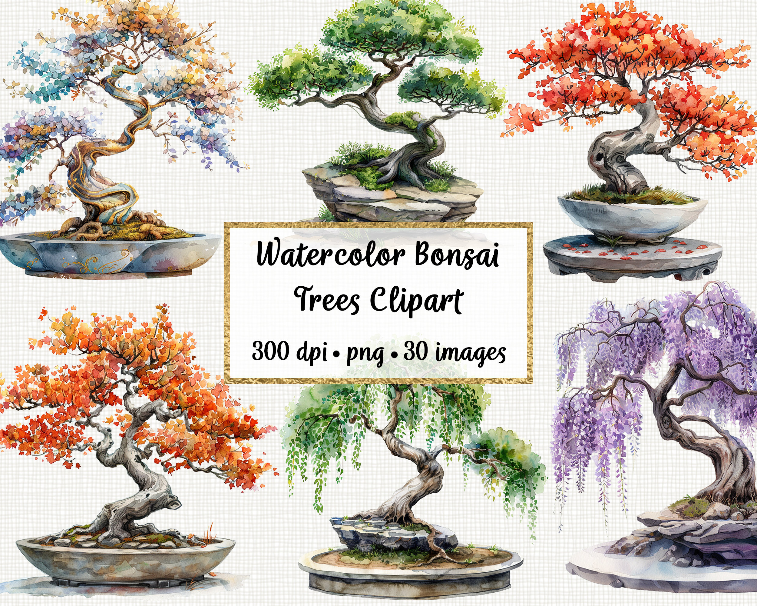 Watercolor Bonsai Trees Clipart, Commercial use