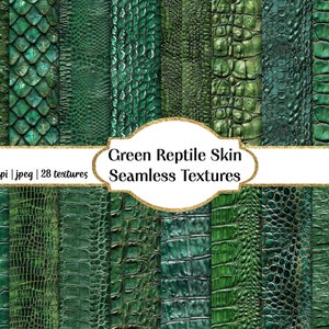 Textures transparentes de peau de reptile verte, usage commercial