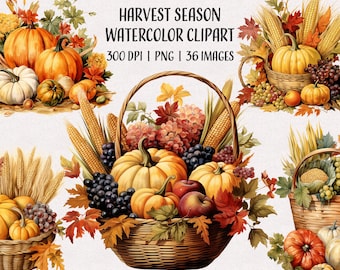 Aquarel herfstoogst clipart, oogstseizoenafbeeldingen, scrapbooking png, instant download, commercieel gebruik