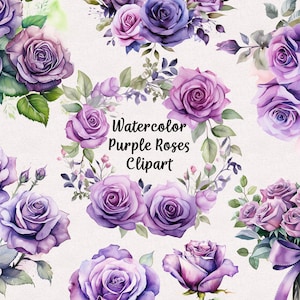 Aquarell Lila Rosen Clipart