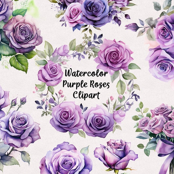 Watercolor Purple Roses Clipart