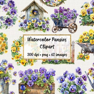 Aquarel tuin viooltjes clipart, afdrukbare lente illustraties, commercieel gebruik