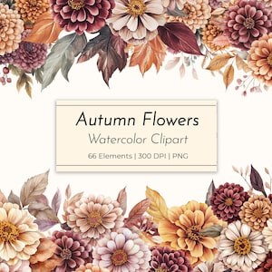 May include: A watercolor clipart design featuring a variety of autumn flowers in shades of orange, burgundy, cream, and brown. The image includes text that reads "Autumn Flowers Watercolor Clipart" with details about the elements and resolution.