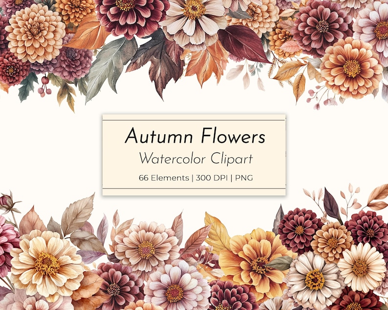May include: A watercolor clipart design featuring a variety of autumn flowers in shades of orange, burgundy, cream, and brown. The image includes text that reads "Autumn Flowers Watercolor Clipart" with details about the elements and resolution.