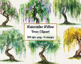 Watercolor Magical Willow Trees Clipart, Commercial use