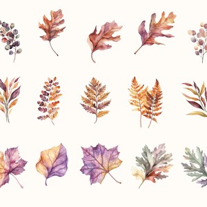 May include: Watercolor illustrations of various autumn leaves in shades of brown, orange, purple, and green. The leaves are depicted in different shapes and sizes, with detailed veins and textures, perfect for fall-themed designs.