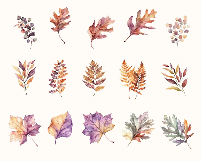 May include: Watercolor illustrations of various autumn leaves in shades of brown, orange, purple, and green. The leaves are depicted in different shapes and sizes, with detailed veins and textures, perfect for fall-themed designs.