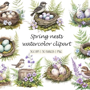 Aquarell Frühling Nester Clipart, Vögel, Nester, Eier Clip Art, druckbare Frühling Illustrationen, Frühlingsblumen, Scrapbooking, kommerzielle Nutzung