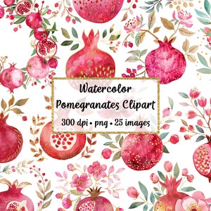 Watercolor Pomegranates and Peonies Clipart, Commercial use