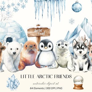 Op de afbeelding: Watercolor clipart set met schattige arctische dieren: een bizon, ijsbeer, walrus, pinguïn, zeehond, husky en rendier. De afbeelding bevat een iglo, een bord met "Arctic Trail" en sneeuwvlokken.