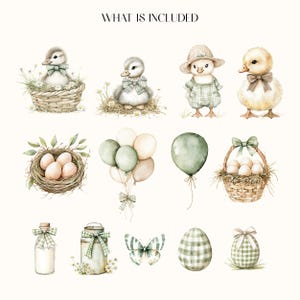 May include: Watercolor illustrations of Easter-themed elements. Includes ducklings in baskets, a chick in overalls, eggs in a nest and basket, balloons, a butterfly, a milk bottle, a milk can, and a gingham egg. Text at the top says "WHAT IS INCLUDED".