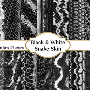 Textures transparentes en peau de serpent noir et blanc, usage commercial