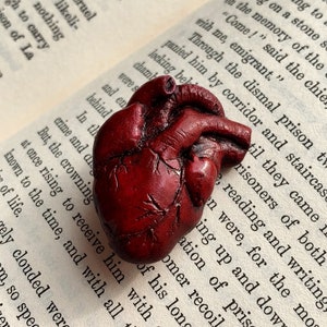 Könnte beinhalten: Eine dunkelrote, anatomische Herzskulptur mit detaillierten Venen und Texturen, die auf den offenen Seiten eines Buches liegt. Das Herz ist der Mittelpunkt und zeigt ein realistisches, handgefertigtes Design. Der Text des Buches ist im Hintergrund sichtbar.