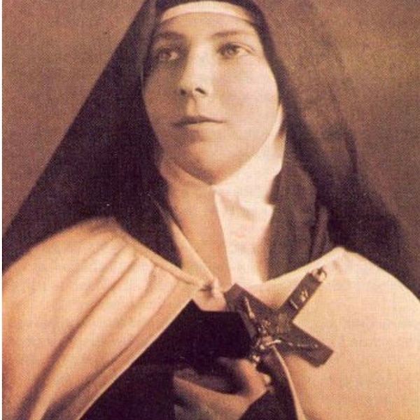 Sr. Teresa of the Andes Holy Card