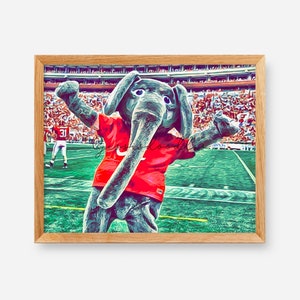 Könnte beinhalten: Ein Cartoon-Elefantenmaskottchen, das ein rotes Trikot mit einem weißen 'C' auf der Vorderseite trägt, steht auf einem grünen Feld mit einer Menschenmenge im Hintergrund.