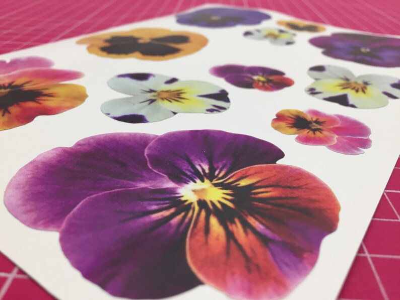 20 Pansy Pansies Flower Car Stickers Vinyl Decals Graphics Etsy UK