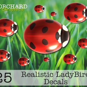 May include: 25 realistic ladybug decals. The decals are red with black spots and are shown against a green grass background.