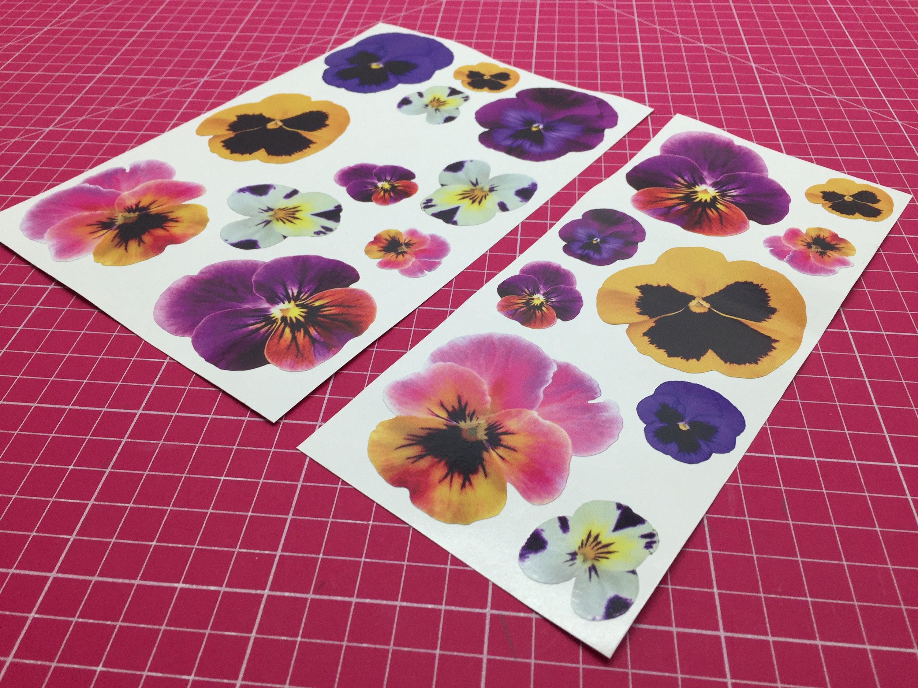 20 Pansy Pansies Flower Car Stickers Vinyl Decals Graphics Etsy UK