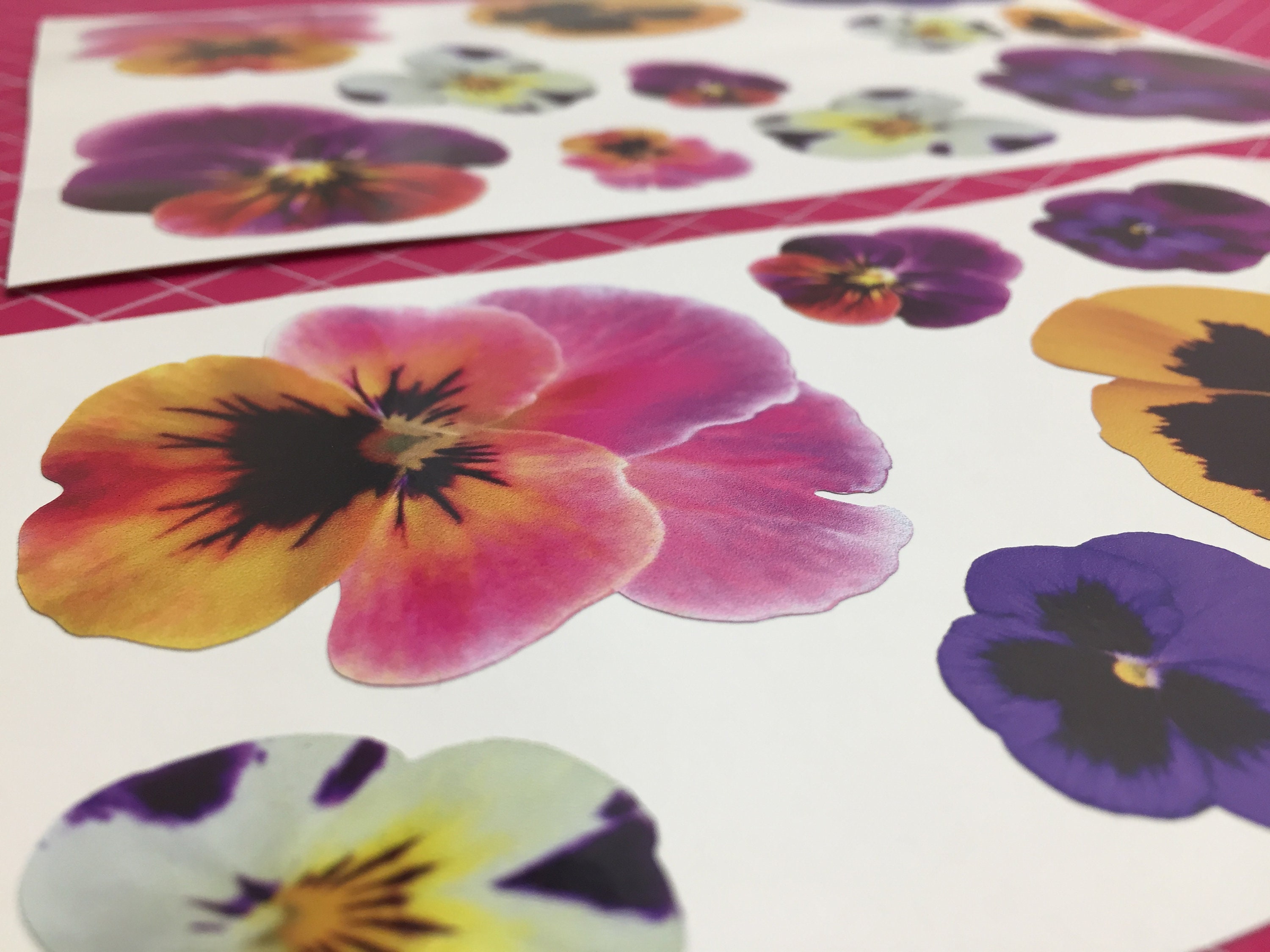 20 Pansy Pansies Flower Car Stickers Vinyl Decals Graphics Bedroom Wall Art Photo Realistic