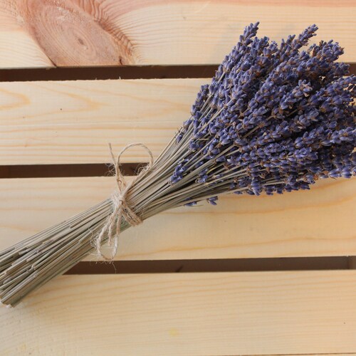 Dried English Lavender Plant Dried Floral Arrangement Etsy