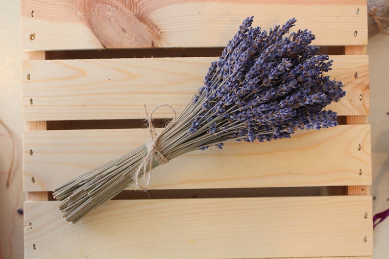 Dried English Lavender Bundle Etsy