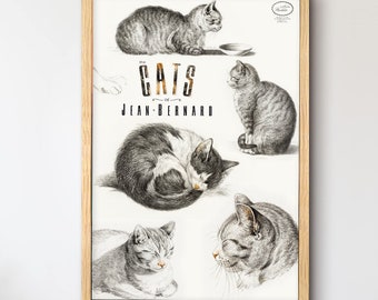 Jean Bernard Cat Sketches Art Print: Rijksmuseum Vintage Feline Poster