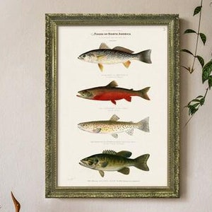 Vintage visillustratie muurkunst – ingelijste of ingelijste opties voor kustdecoratie