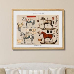 Vintage French Horse Riding Equestrian Print