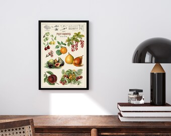 1891 Vintage Botanical Fruit Guide Art Poster by May Rivers