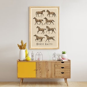 Vintage Horse Gaits Poster: Equestrian Farmhouse Decor