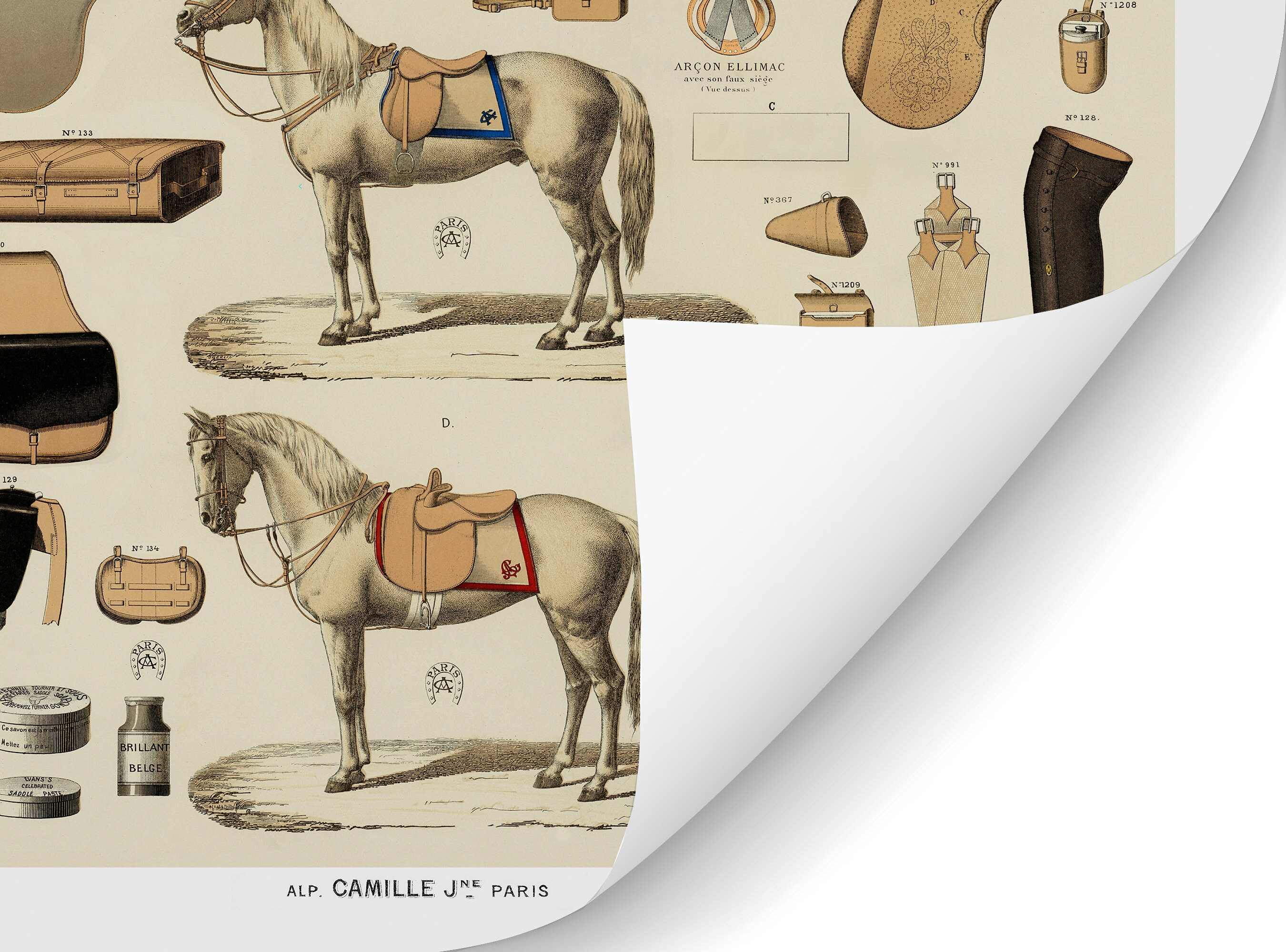 Giclée Equestrian wall art Horse lover gifts Vintage horse reproduction