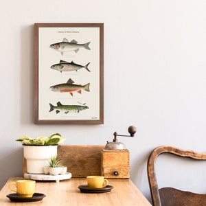 Vintage Fisch Kunstdruck: Nordamerikanische Fische von Sherman Denton