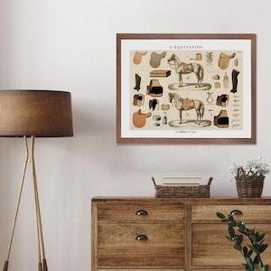 Vintage Horse Riding Print – French Equestrian Wall Art – Saddle Diagram Poster – Antique Horse Tack Illustration – Canvas or Paper Print