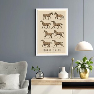 Vintage Horse Gaits Print – 1897 Equestrian Art Poster