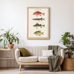 Stampa di pesci nordamericani Serie di pesci illustrati di Denton Arte Regalo di pescatore Decorazione murale di pesci, Poster di pesci vintage Piccolo dipinto di pesce azzurro