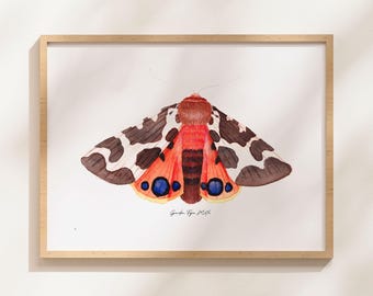 Impresión artística giclée en acuarela original de la polilla tigre de jardín.