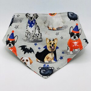 Trick-Or-Treat Halloween Dogs Snap-On Bandana