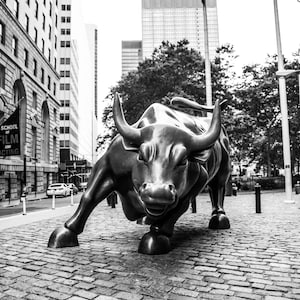Wall Street Photography, NYC Photo, &quot;Charging Bull&quot;