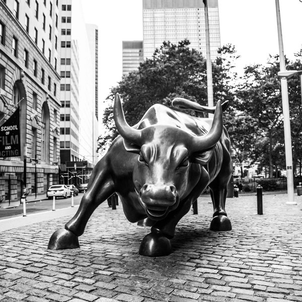 Wall Street Photography, NYC Photo, "Charging Bull"