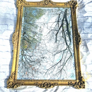 May include: A large, ornate gold-framed mirror with a reflection of bare tree branches against a blue sky.