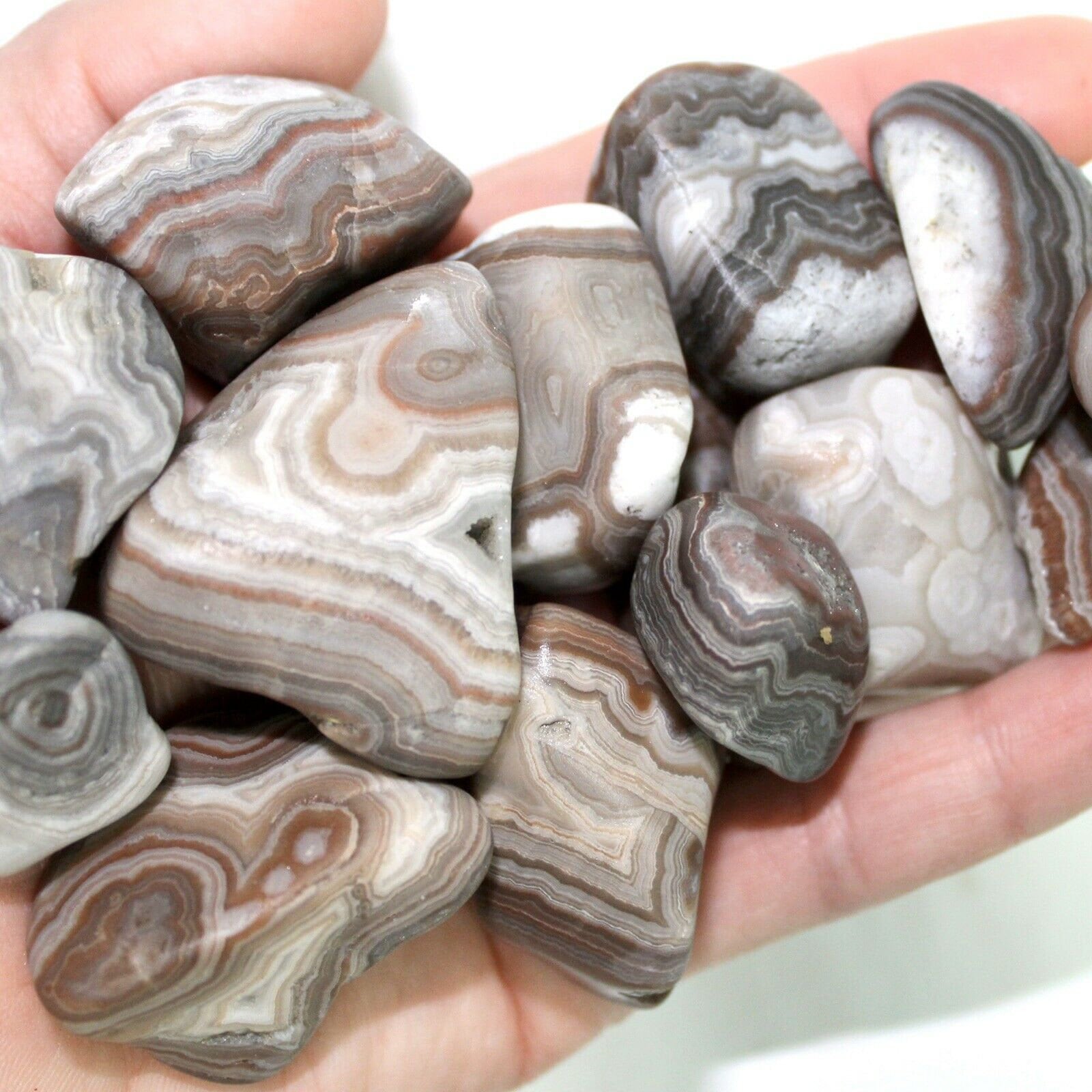 20 Pound Lot of Crazy Lace Banded Agate Rocks Rough Natural Etsy