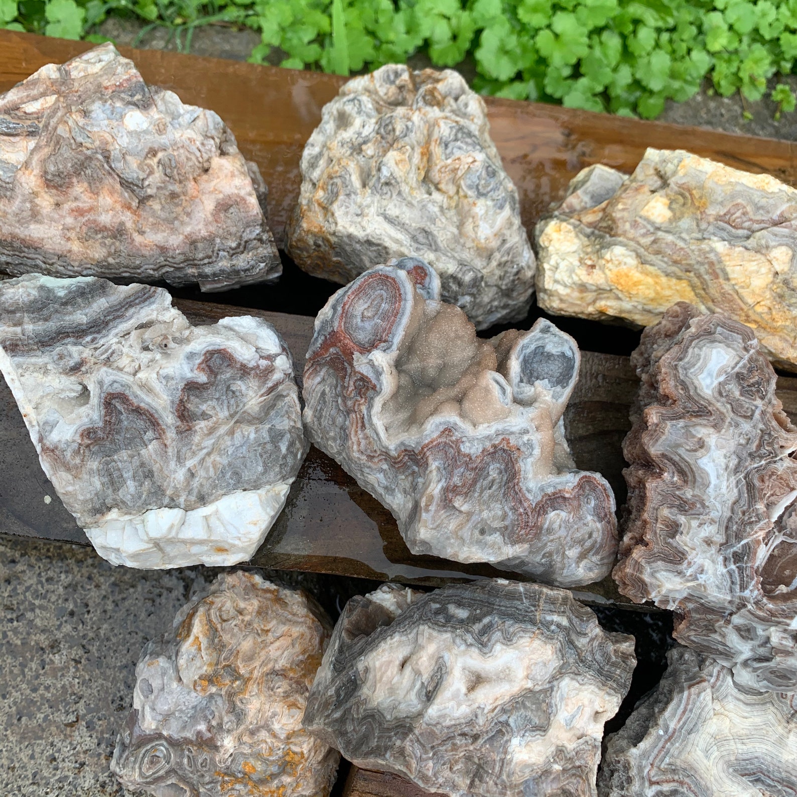 2X Crazy Lace Agate Summerville GA 12 Lbs pounds Banded Rock Lapidary