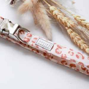 Dog Collar | Peaches | Handmade | Honey & Hudson