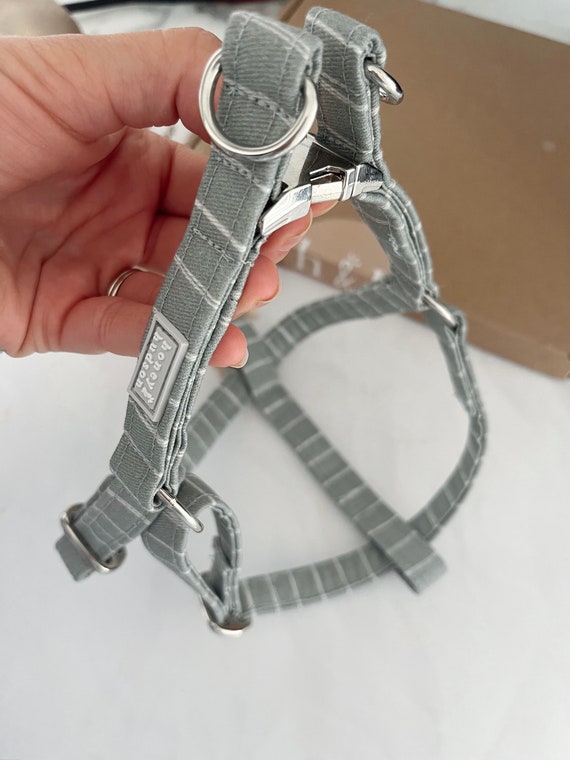 Dog Harness | Rue | Handmade | Step-in | Honey & Hudson