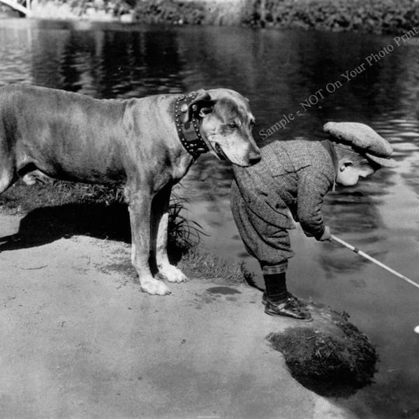 Funny Photo Boy and Dog Golf Ball Weird Sport Vintage Photo Golfing Crazy Art Strange Odd Print Black and White Photograph Poster X82