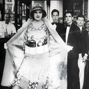 1920 new arrivals prohibition costumes