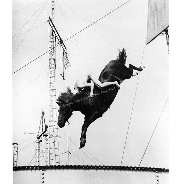 Diving Horse Weird Circus Act Vintage Photo Boardwalk Horses Unusual Strange Black and White Print Art Poster Cool Gift Photograph 9782