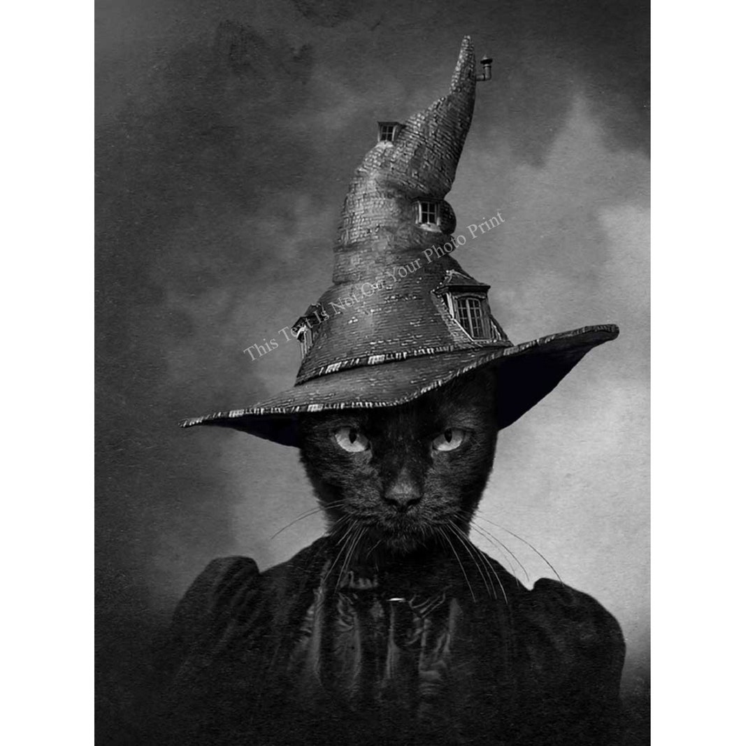 Black Cat Witches Cat in A Hat Witchcraft Photo Halloween Vintage Photo